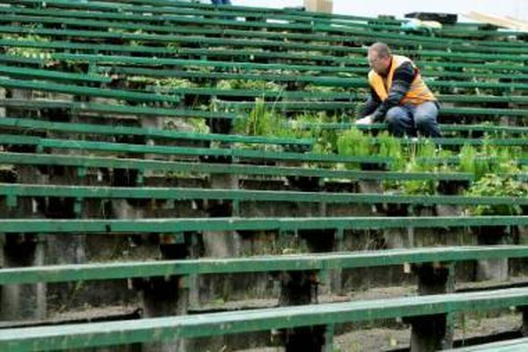 Išlikimas: kiek dar atlaikys senieji medinukai?