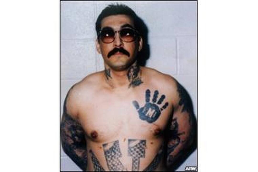 Sunki gangsterio atgaila