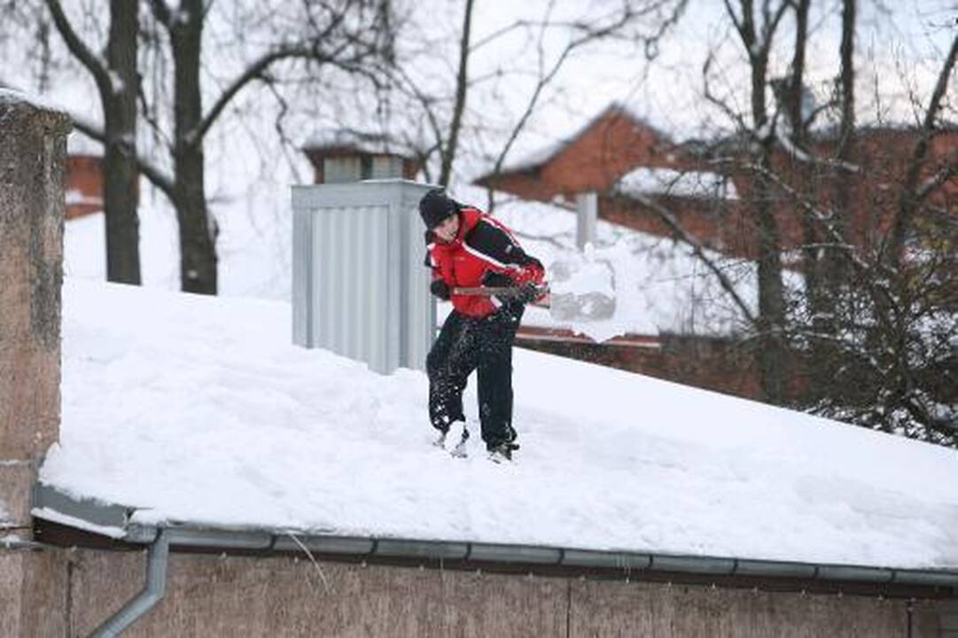 Balandžio sniego kaina