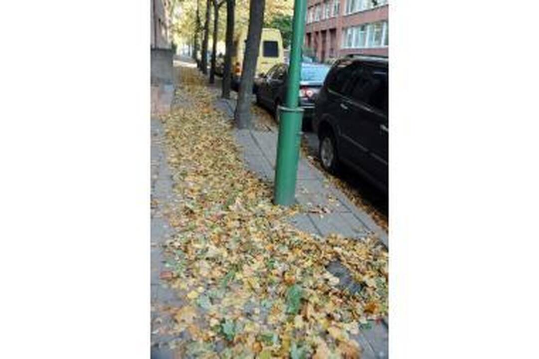 Gatves užliejo lapų cunamis