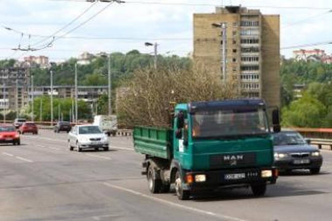 Nespėja: "Kauno švara" šakas iš miesto veža, bet procesas juda labai lėtai.