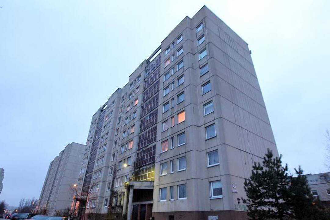 Sostinės daugiabutis – lyg širšių lizdas