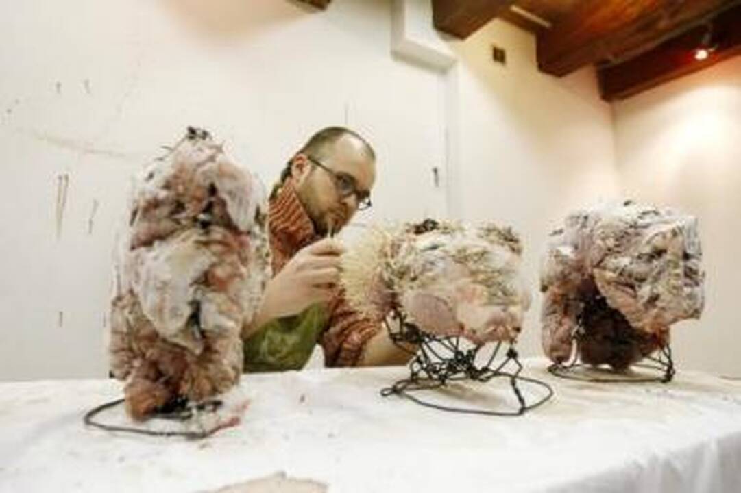 Kaunietis, verčiantis mąstyti uostamiestį