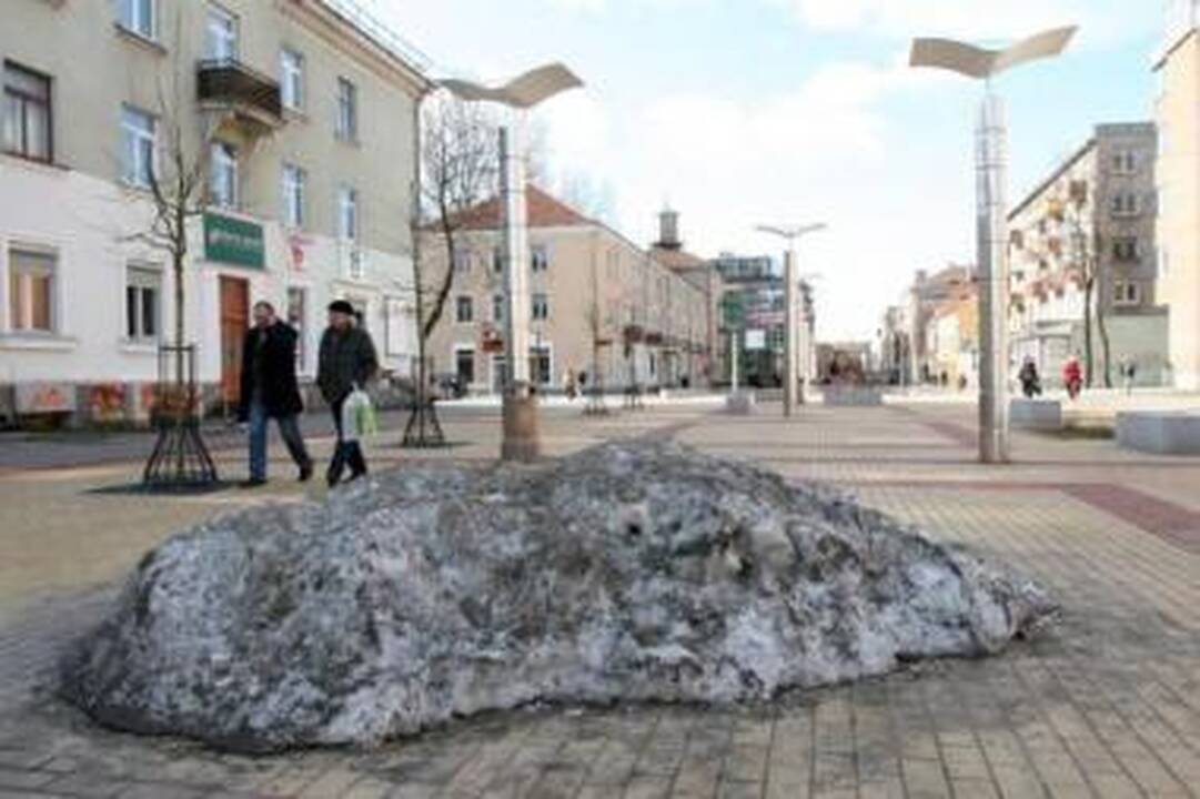 Pajuodusio sniego išvežti nežada
