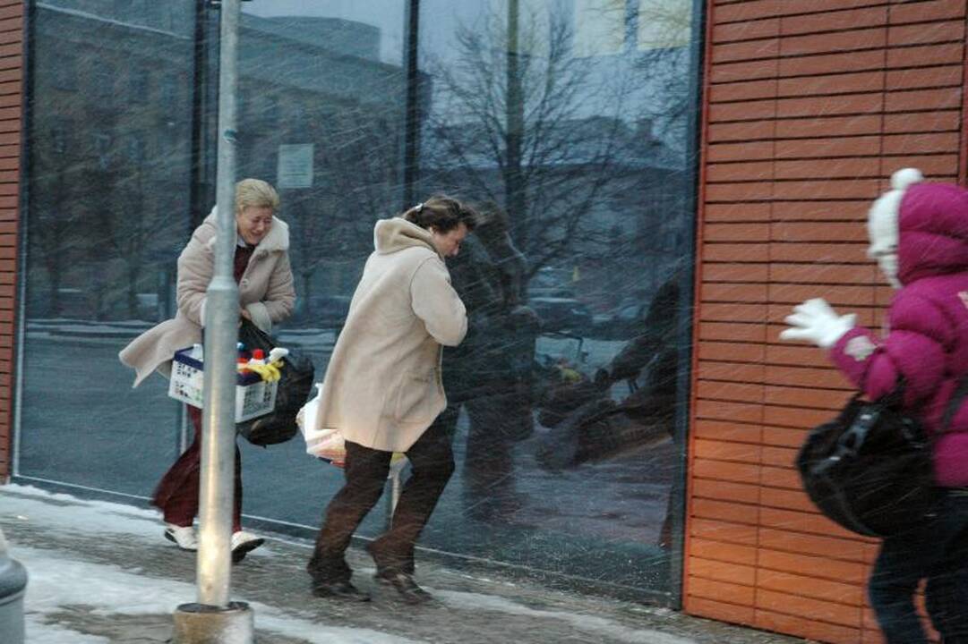 Šilumos dar teks palaukti