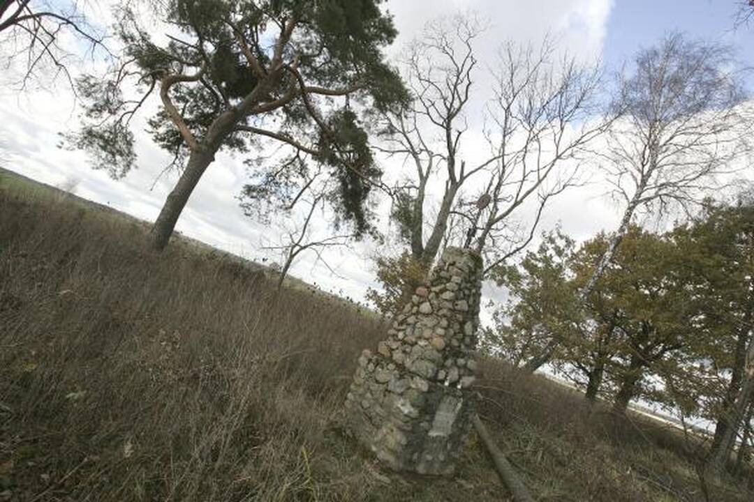 Laikina: kol kas kauniečių palaikai atgula vandeningose Ledos kapinėse.