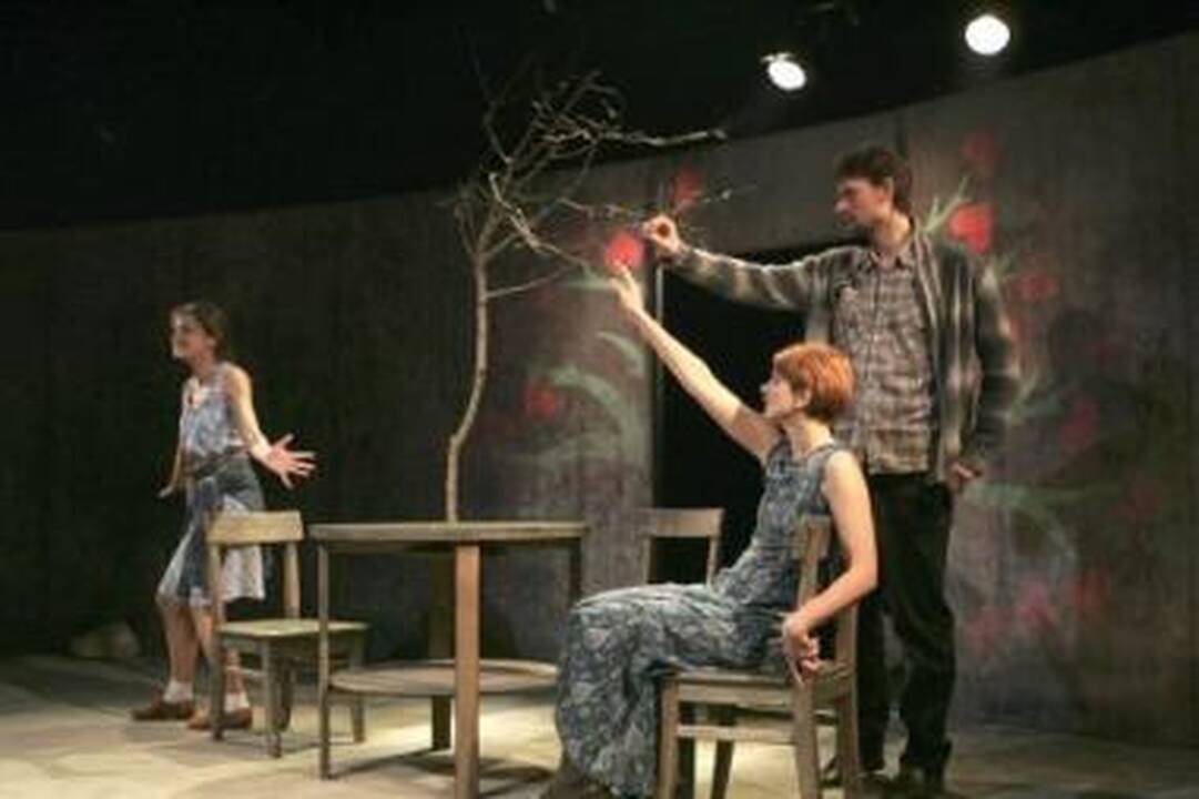 Pavyko: A.Jankevičius įsitikinęs, jei išėjęs iš teatro žmogus kalba su savimi – spektaklis tikslą pasiekė.