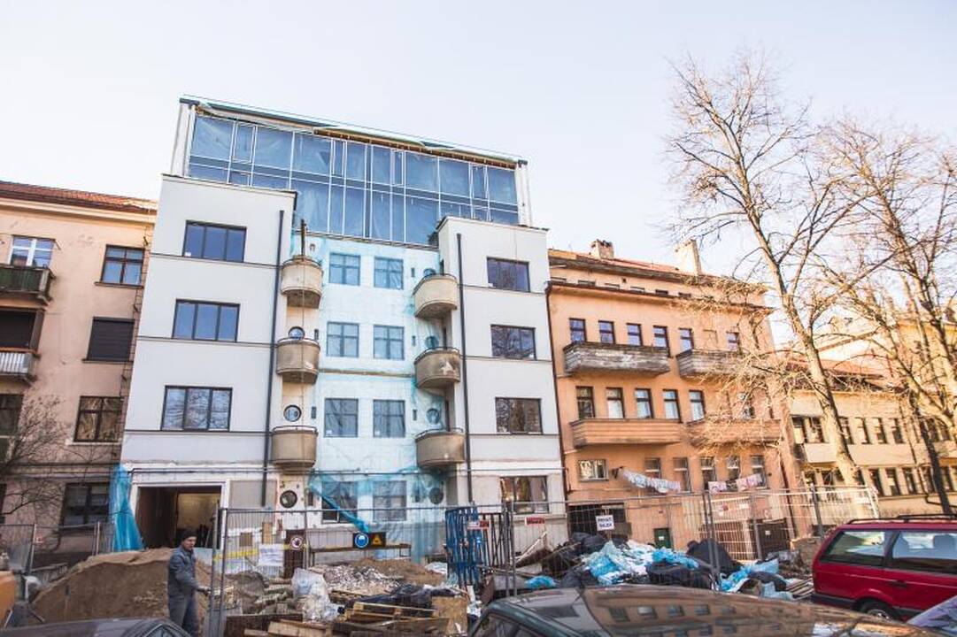 Kitapus saugomų Naujamiesčio mūrų – tarsi džiunglėse