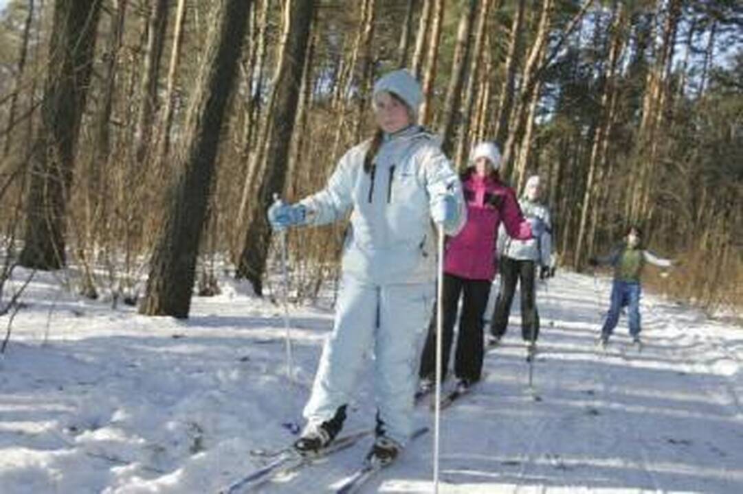 Plinta slidinėjimo virusas