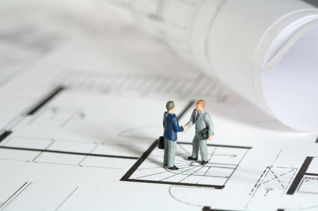 Valdžios ir verslo projektai – neįmanoma misija?