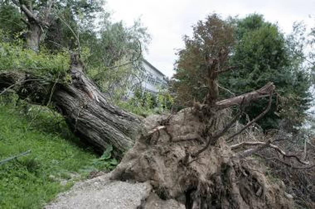 Audros pėdsakai vis dar bado akis