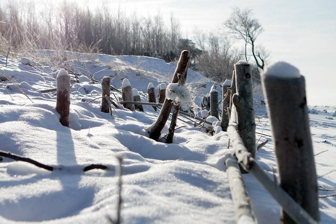 Sinoptikai: pajūrį koš žvarbus gūsingas vėjas