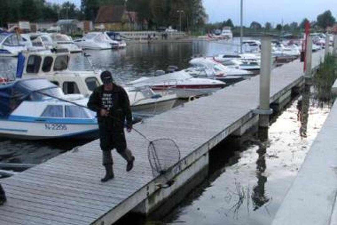 Padariniai: aiškinamasi, dėl kokios priežasties prieš dvi savaites masiškai krito žuvys Šyšos upėje.
