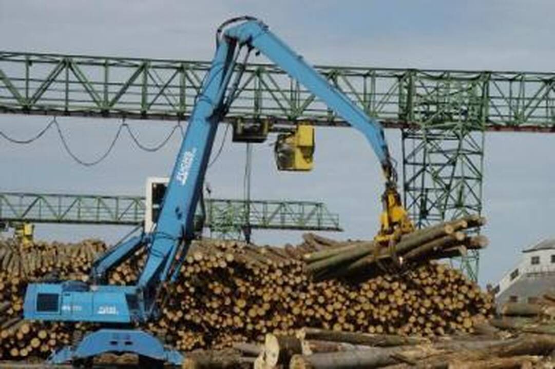 Lėtai: analitikų teigimu, šalies pramonė, atsitokėjusi nuo Ignalinos atominės elektrinės uždarymo šoko, gerina veiklos rezultatus, tačiau gyventojams krizės pabaigos dar teks palaukti.