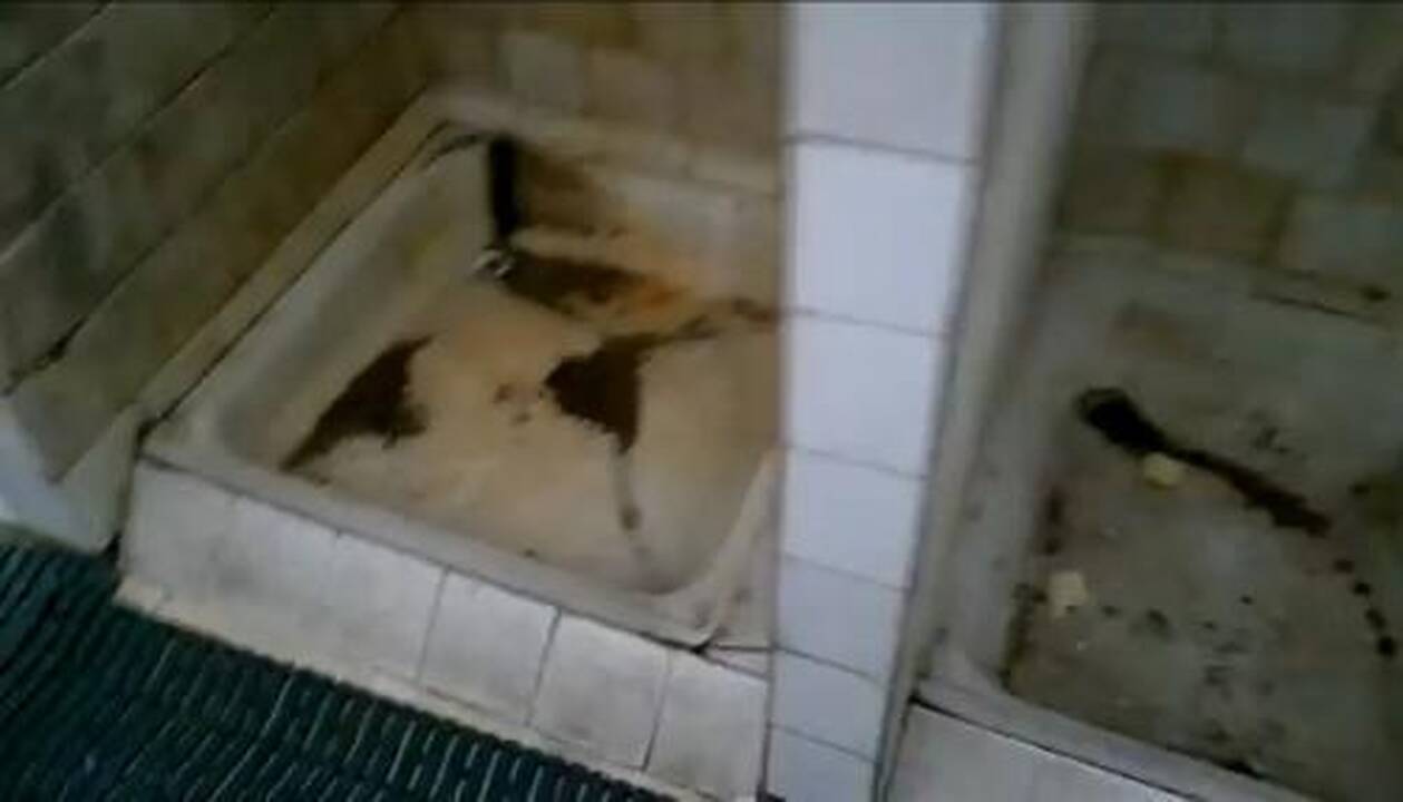 Troleibusų karuose teisūs visi