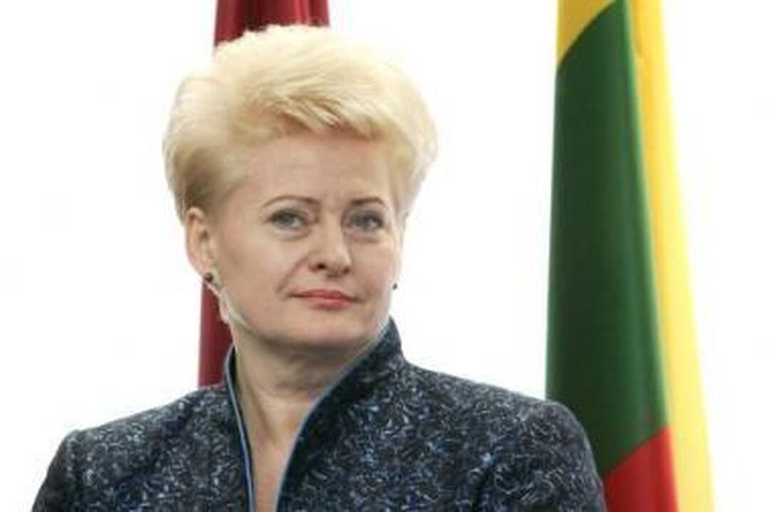 Iššūkis: D.Grybauskaitei Rusijos kvietimas gali sukelti daug nepatogumų.