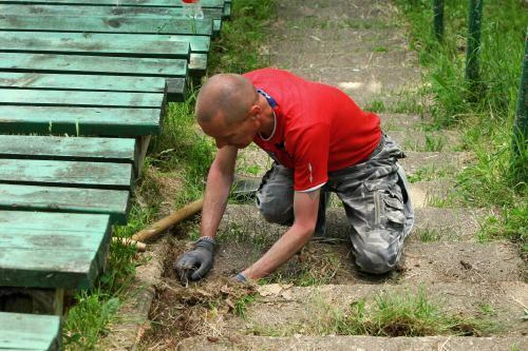 Pinigų dalybos: kaip seniūnijos panaudos gautas lėšas?