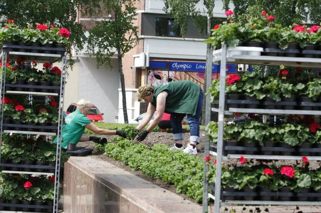 Šaltas pavasaris jaukia uostamiesčio tarnybų planus