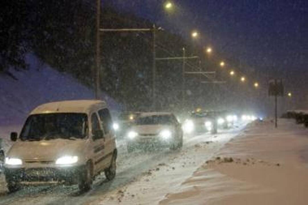 Vilniui gamta prielankesnė