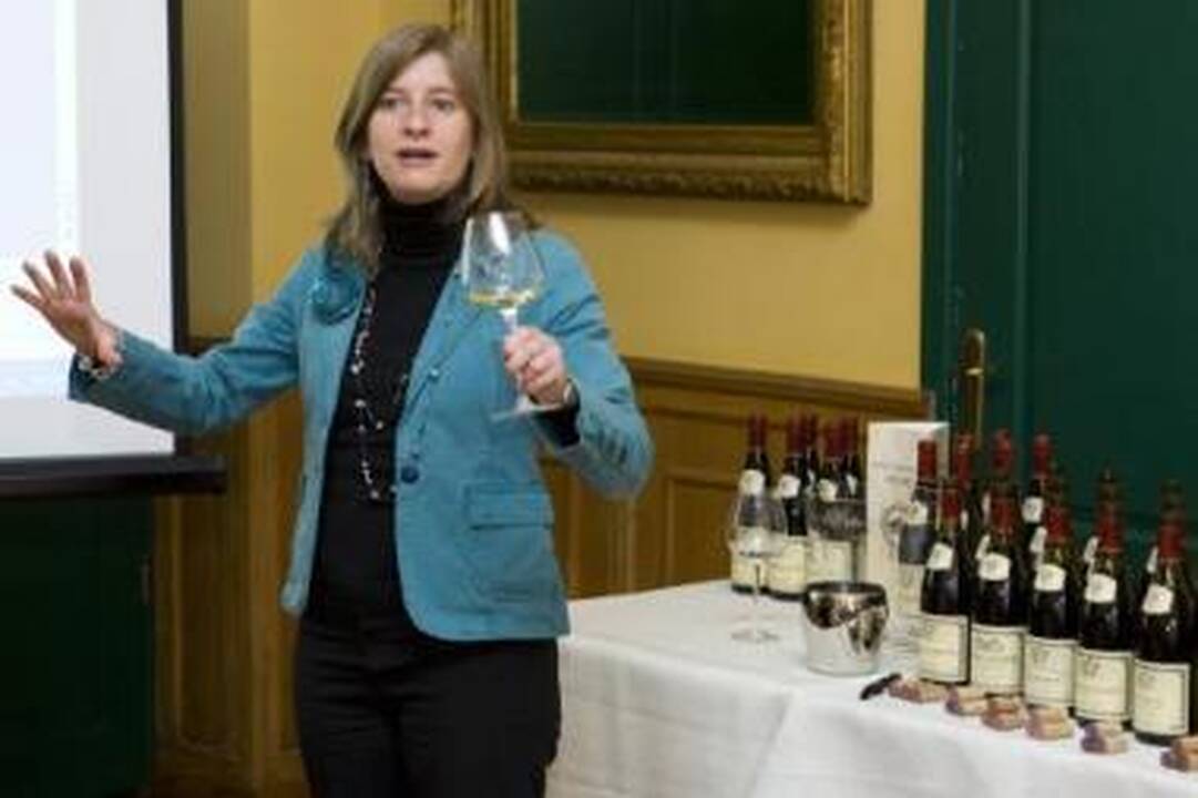 Burgundiškas vynas "Louis Jadot"