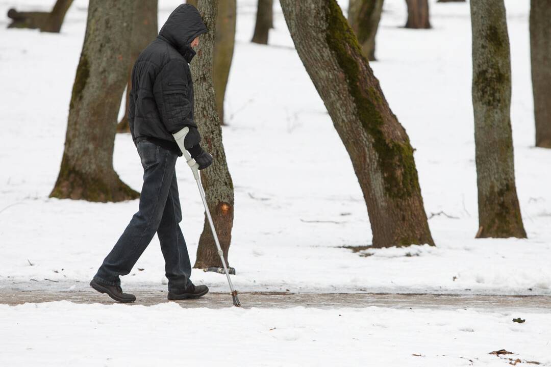 Slidūs Ramybės parko takeliai