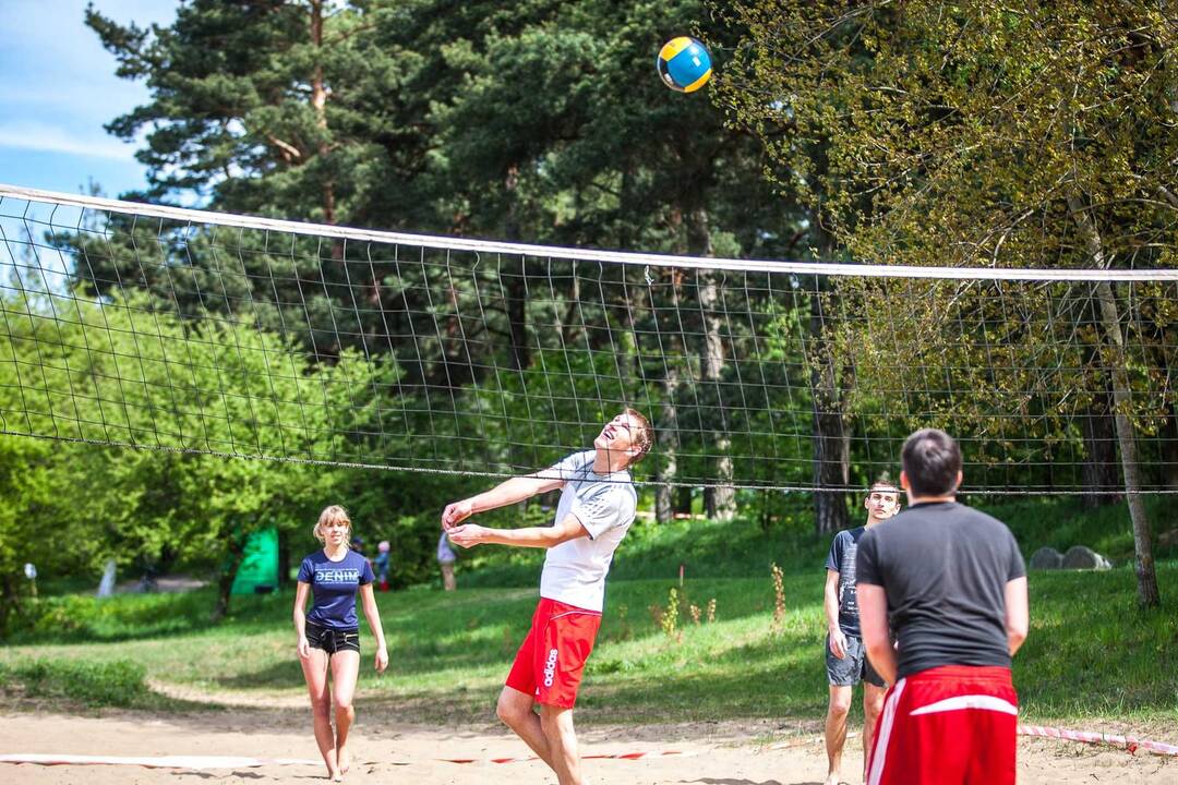 Sporto šventė Panemunės šile