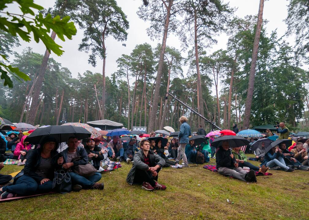 „Akacijų alėja 2017“