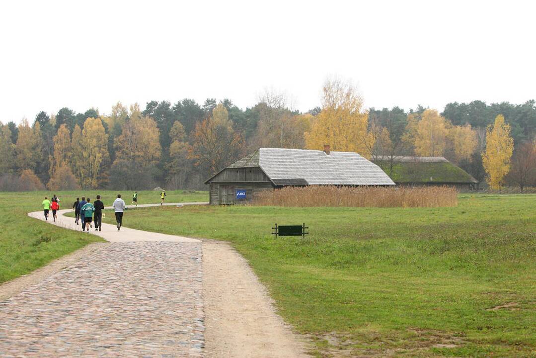 Lietuvos bėgimo tautė 2013