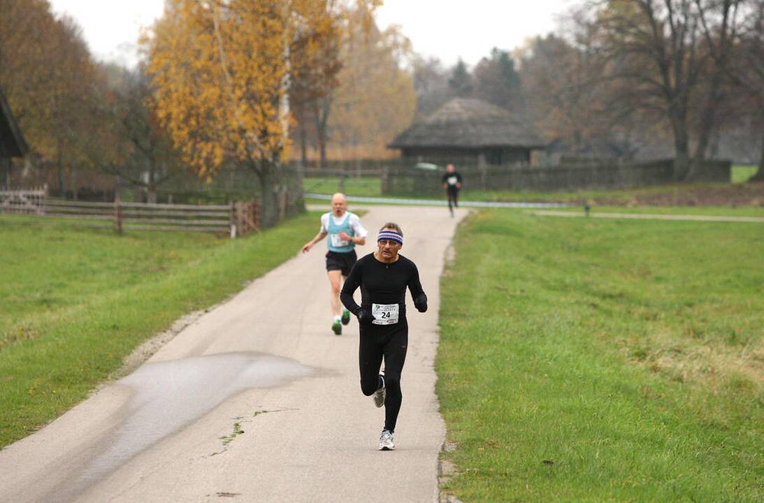 Lietuvos bėgimo tautė 2013