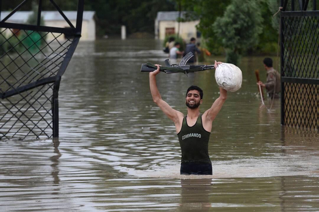 Liūtys Pakistane ir Indijoje