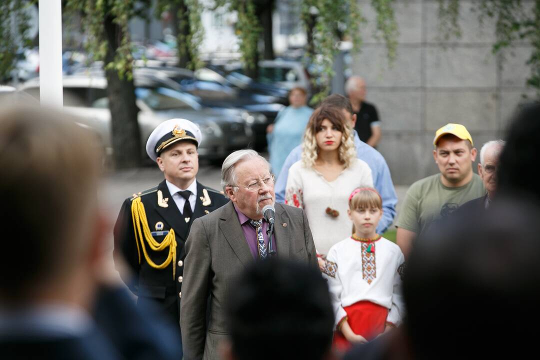 Ukrainos Nepriklausomybės dienos minėjimas