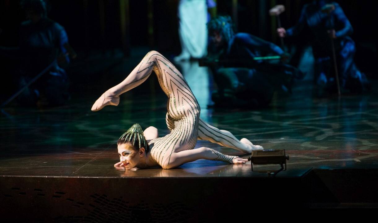 Spektaklio „Varekai“ kūrėjai ir atlikėjai pavergė žiūrovų širdis