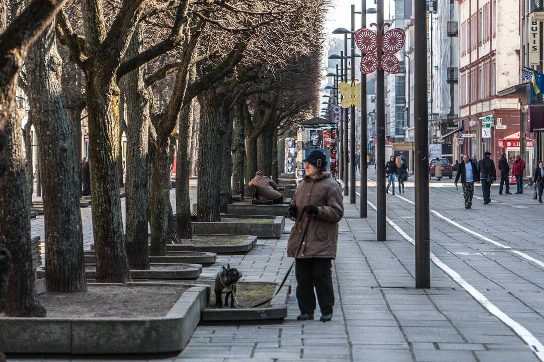 Velykoms pasipuošusi Laisvės alėja