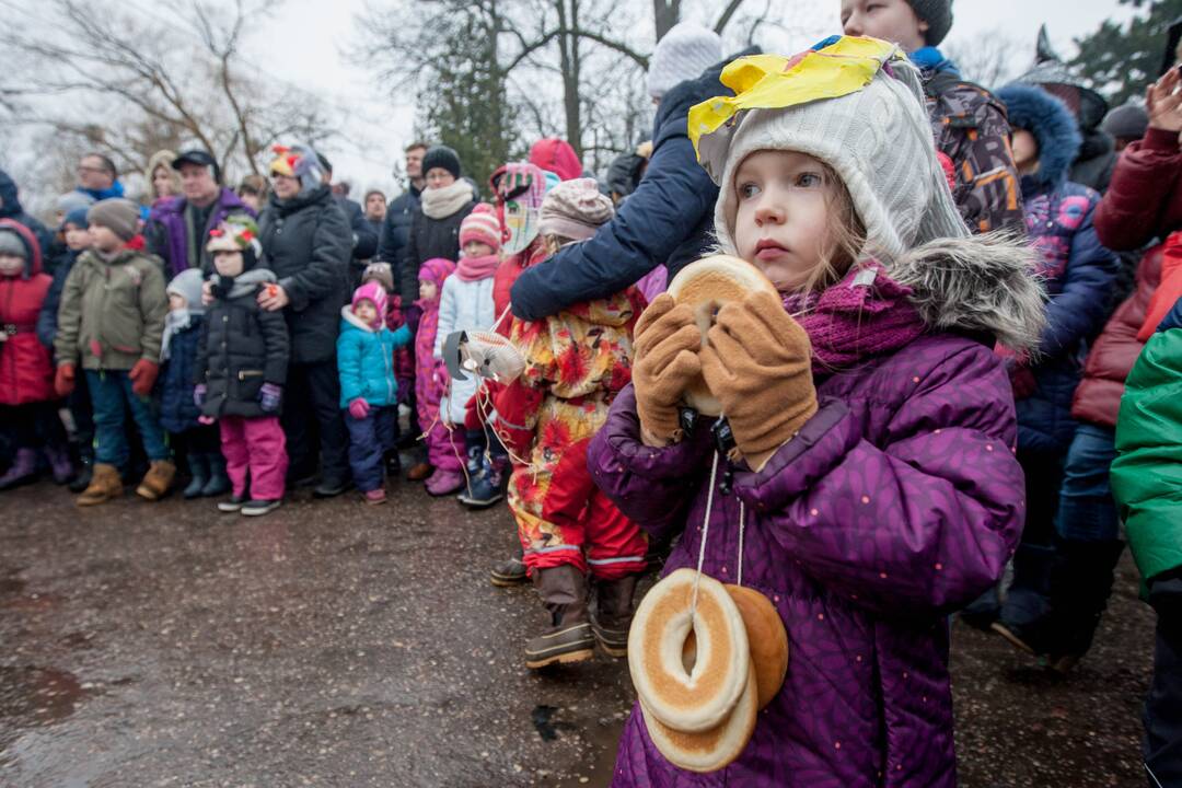 Užgavėnių šventė Kauno botanikos sode 