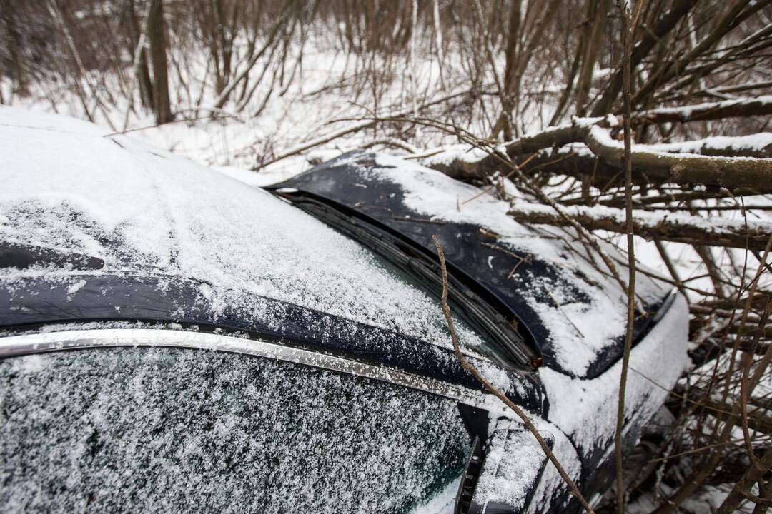 Vytėnuose BMW įlėkė į griovį