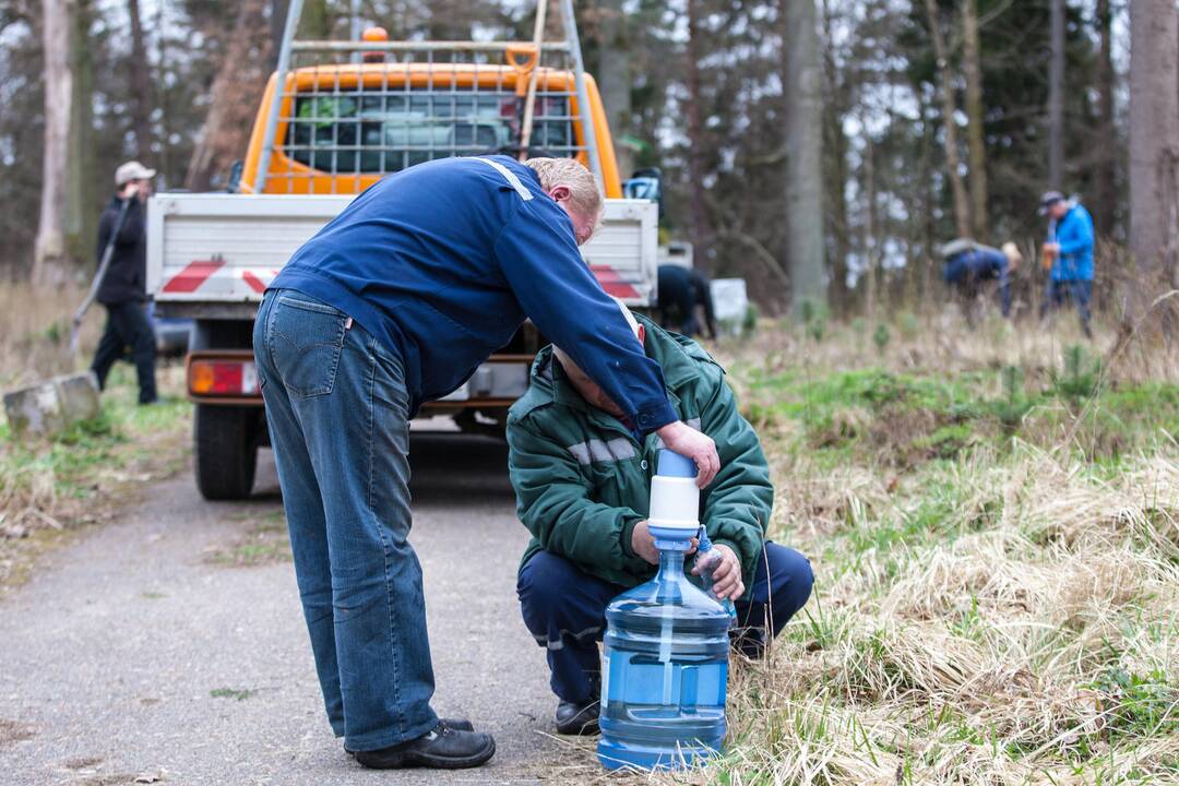 Medelių sodinimo talka Lampėdžiuose ir Panemunėje