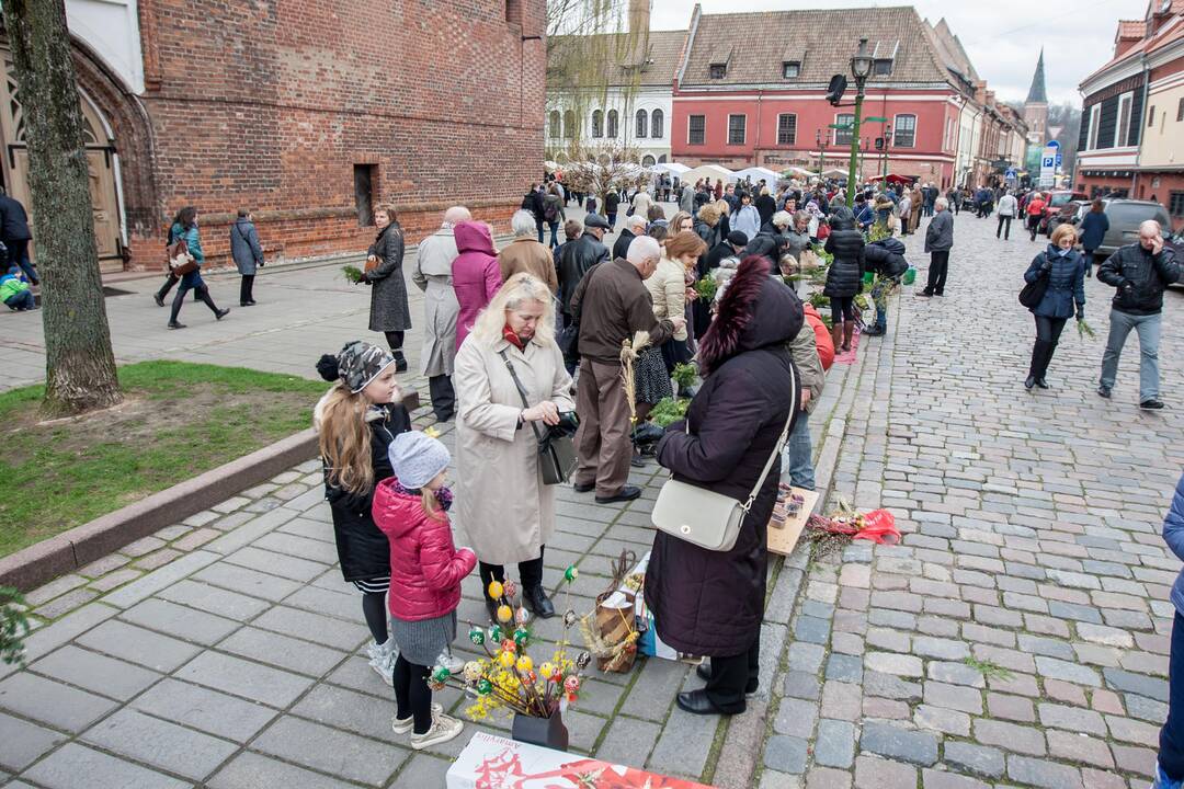 Verbų sekmadienis Kaune