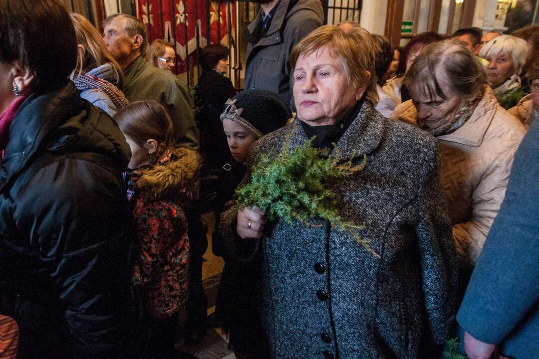 Verbų sekmadienis Kaune