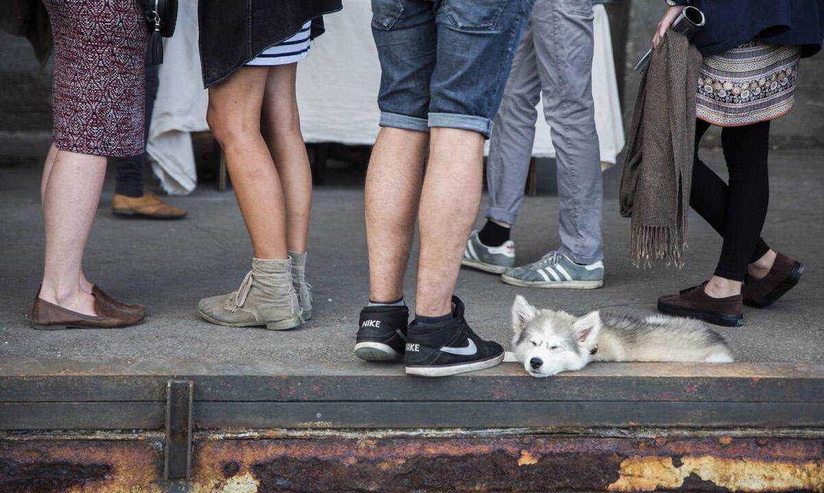 „Vilnius Street Art“: „Stoties utopijos“ atidarymas