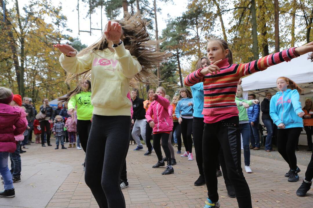 Rudens linksmybių šventė