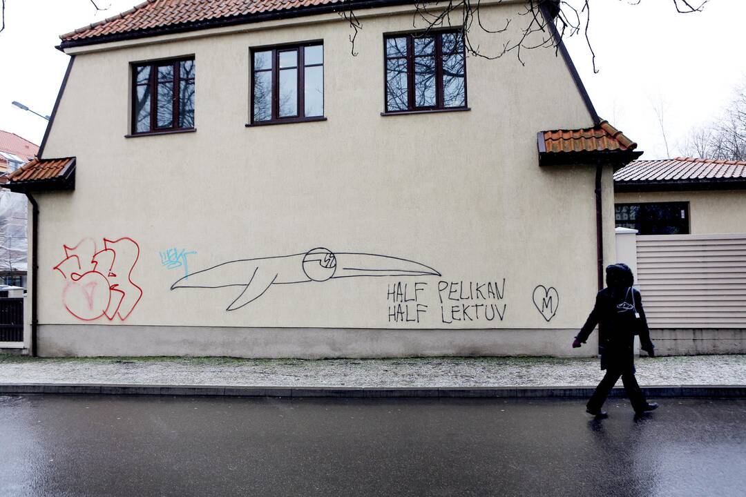 Grafitininkai apipaišė namų sienas