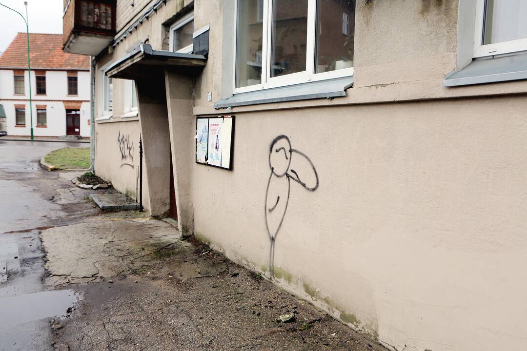 Grafitininkai apipaišė namų sienas