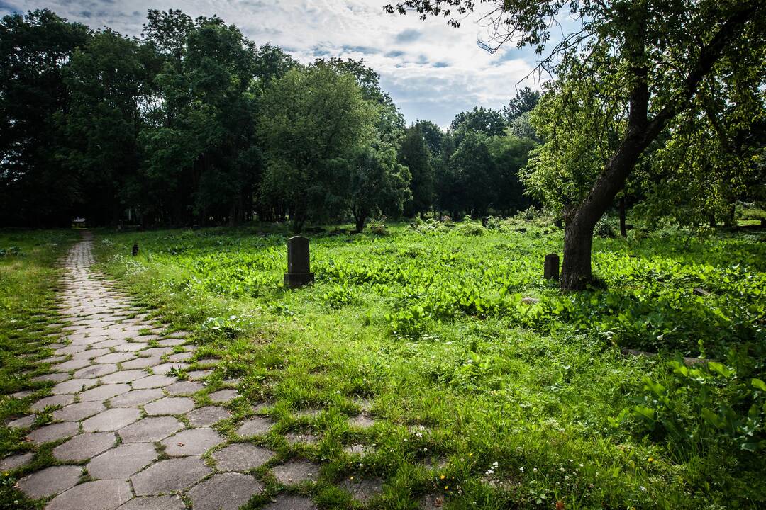 Senosios žydų kapinės Kaune