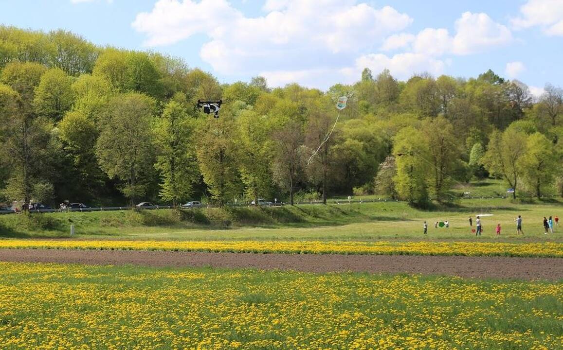 Aitvarų šventė Zapyškyje 