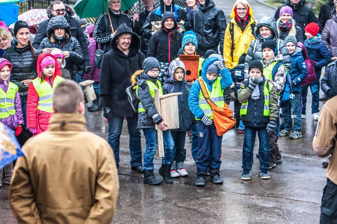 Zoologijos sode kabino inkilus