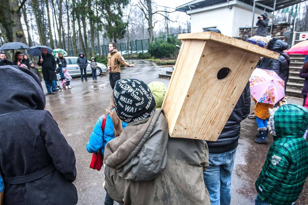 Zoologijos sode kabino inkilus