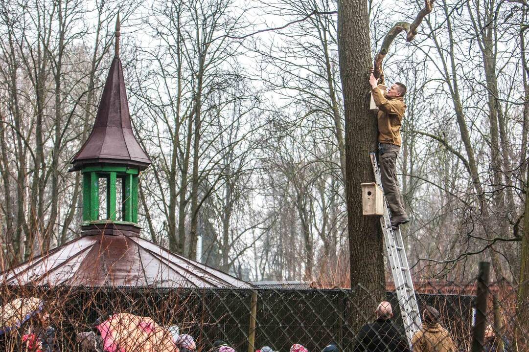 Zoologijos sode kabino inkilus