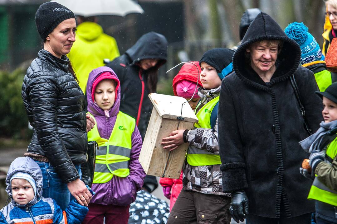 Zoologijos sode kabino inkilus