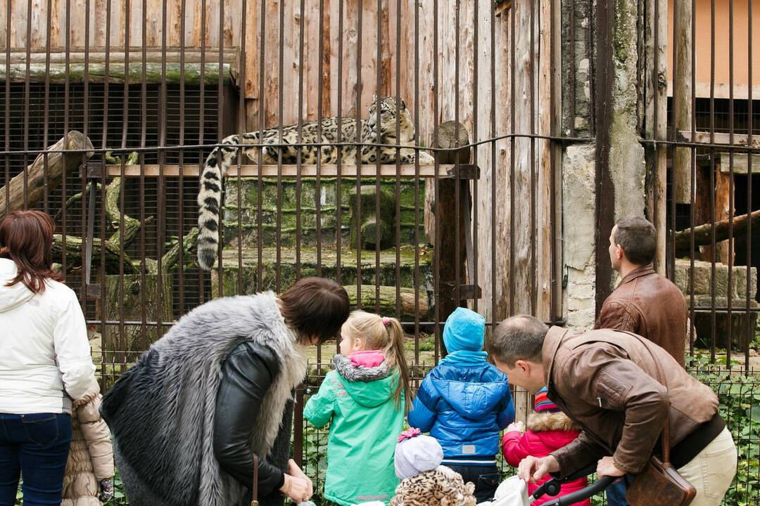 Šeštadienis zoologijos sode