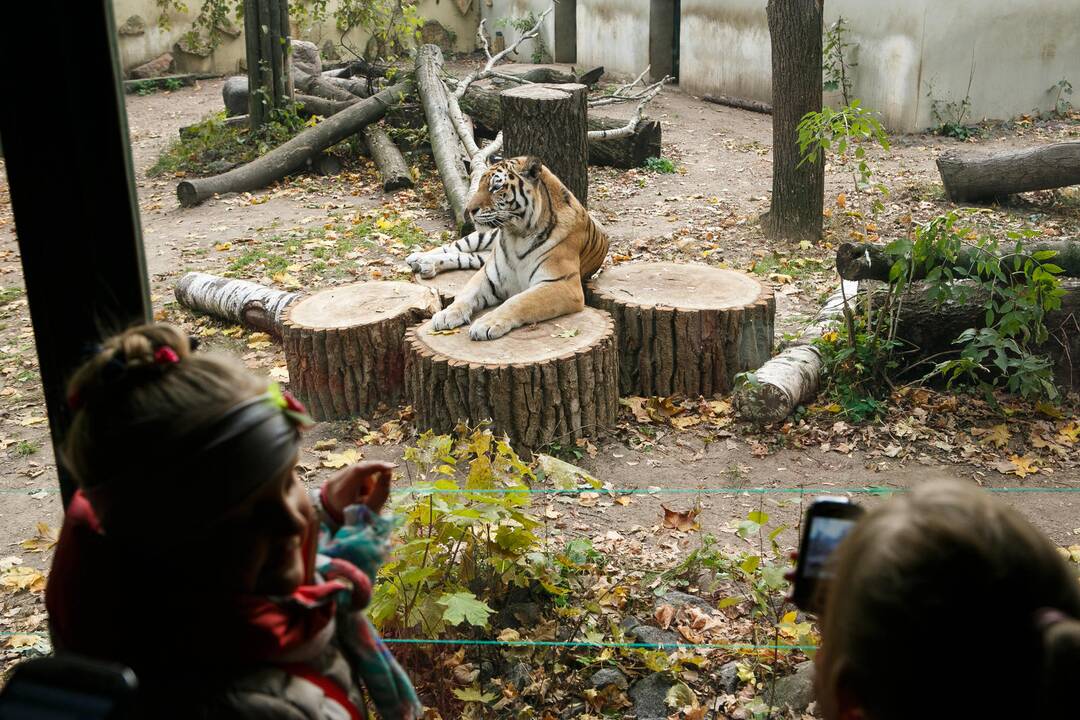 Šeštadienis zoologijos sode